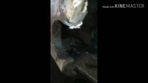 Ремонт лап аутригера терекс экскаватора погрузчика