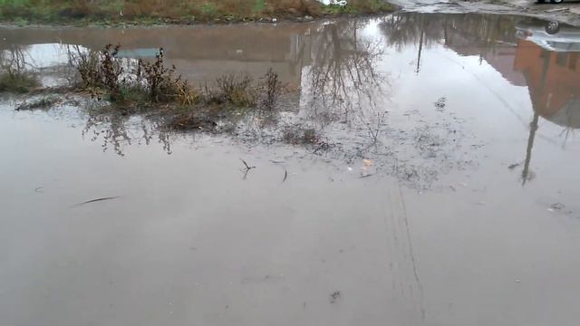 Потоп после дождя смотреть онлайн