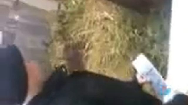 граффити на стене смотреть онлайн