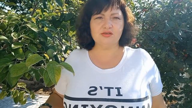 Малоуходный сад. Миф или реальность? смотреть онлайн