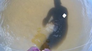 СНАСТЬ РЕЗИНКА+ЛАЙФХАКИ ДЛЯ РЫБАЛКИ. Оснастка на чехонь, судака, леща, плотву, язя, густеру, и друг