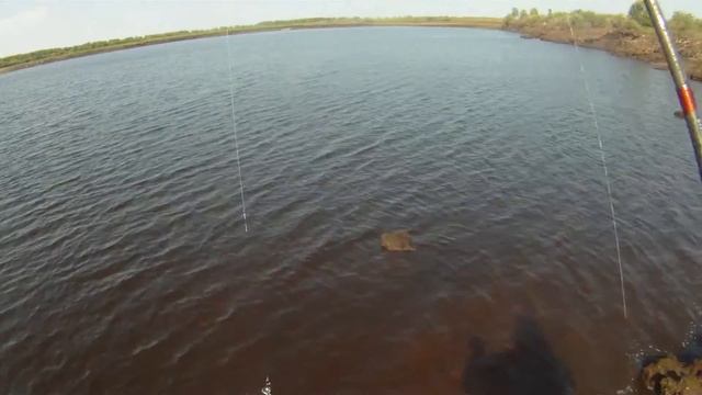 Проводка Цуйка Гера/TACKLE HOUSE CONTACT NODE смотреть онлайн