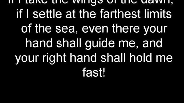 You Have Searched Me St Augustine Feast C SundayPsalm139 смотреть онлайн