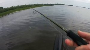 Спиннинги для твичинга крупных воблеров | От 1 до 6 тыс. | Честный тест-драйв #1