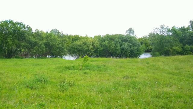 №199 В деревню."Деревня в картинках" смотреть онлайн