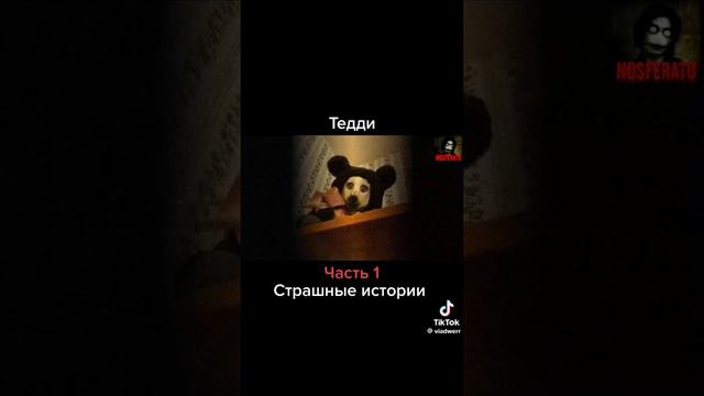 Тедди.. смотреть онлайн