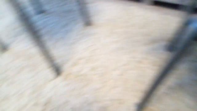 Сборник Школа, Live! Смотреть с Дельфинчиком! смотреть онлайн