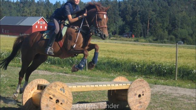 freste gård смотреть онлайн
