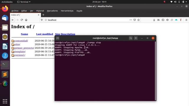 Instalando el paquete XAMPP, Entorno NETBEANS y primer archivo PHP en UBUNTU LINUX смотреть онлайн