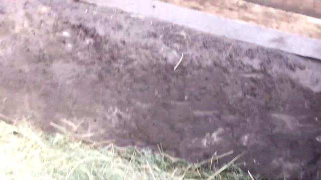 Басейн своїми руками за копійки дуже легко і просто смотреть онлайн