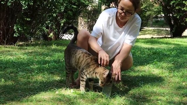 пикники с семьей/день рождение сестры смотреть онлайн