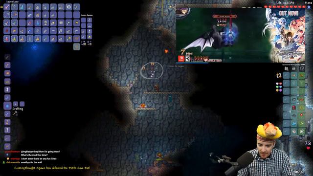 Terraria Expert Hardcore Insane Spawnrate Challenge #5 смотреть онлайн
