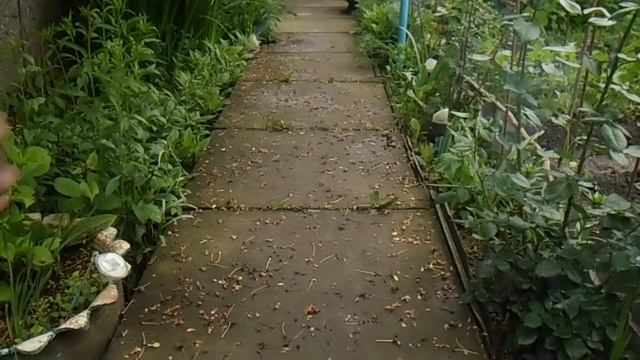 Сравнение петард Grom 2 и Grom 4