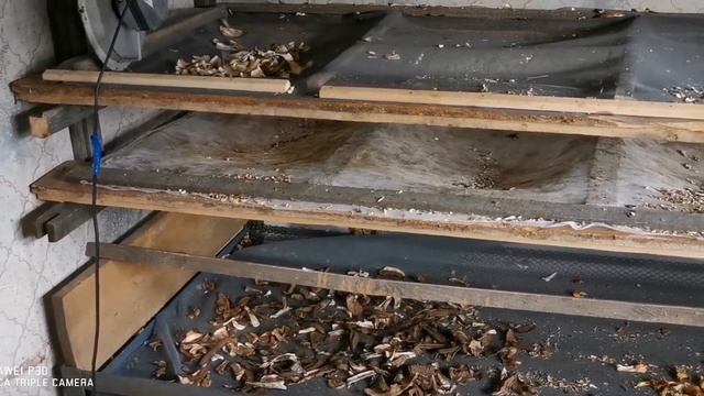 Сушилка для грибов полный обзор смотреть онлайн