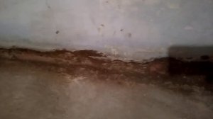 Гипсовая штукатурка поверх глиняной.