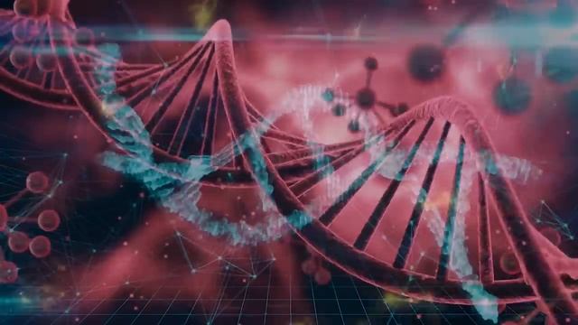 Rescue TEAM Godzilla & KONG From EVOLUTION OF BLOOP: Who Will Win | Godzilla Cartoon Compilation смотреть онлайн