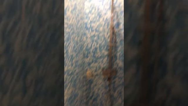 Самара пр. Кирова 49 “Баня Тайфун” на БТЦ 2020г. смотреть онлайн