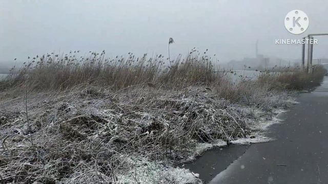 Капризы природы Славянск 30.03.2023 смотреть онлайн