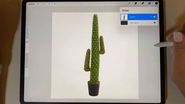Procreate. Как вырезать предмет из изображения. Принцип создания коллажей смотреть онлайн
