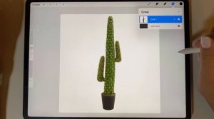 Procreate. Как вырезать предмет из изображения. Принцип создания коллажей