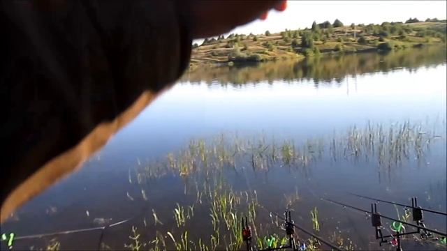 Карповая рыбалка в соседней области смотреть онлайн