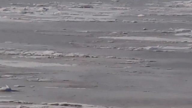 Сырдария. Қызылорда қаласы. смотреть онлайн