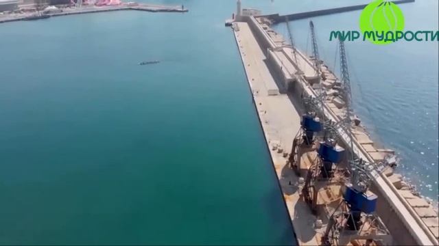 Оазис существует в вашем сознании! ОШО смотреть онлайн