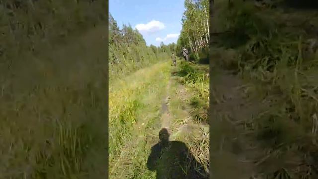 Поездка на кот озеро лето 2018г собака чуть не сдохла смотреть онлайн