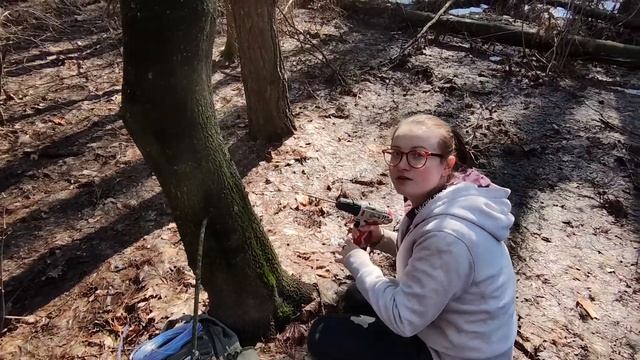 Марфа собирает сок из клёна! Сколько получится собрать за час? смотреть онлайн