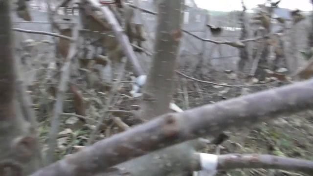 Строительные Новости