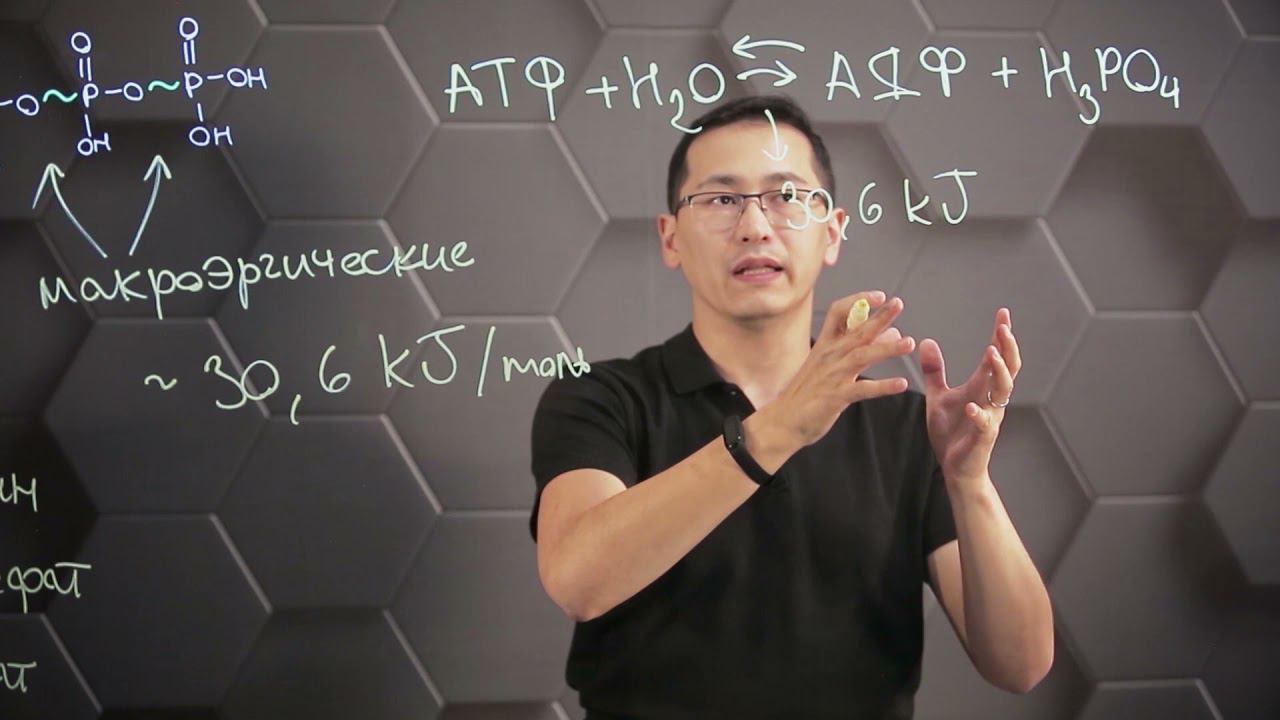 Строение и функции аденозинтрифосфорной кислоты (АТФ).10 класс. смотреть онлайн