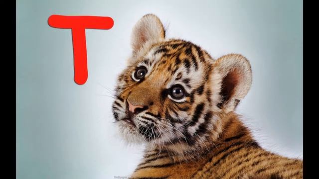 Веселая азбука. Аудио алфавит в стихах. смотреть онлайн