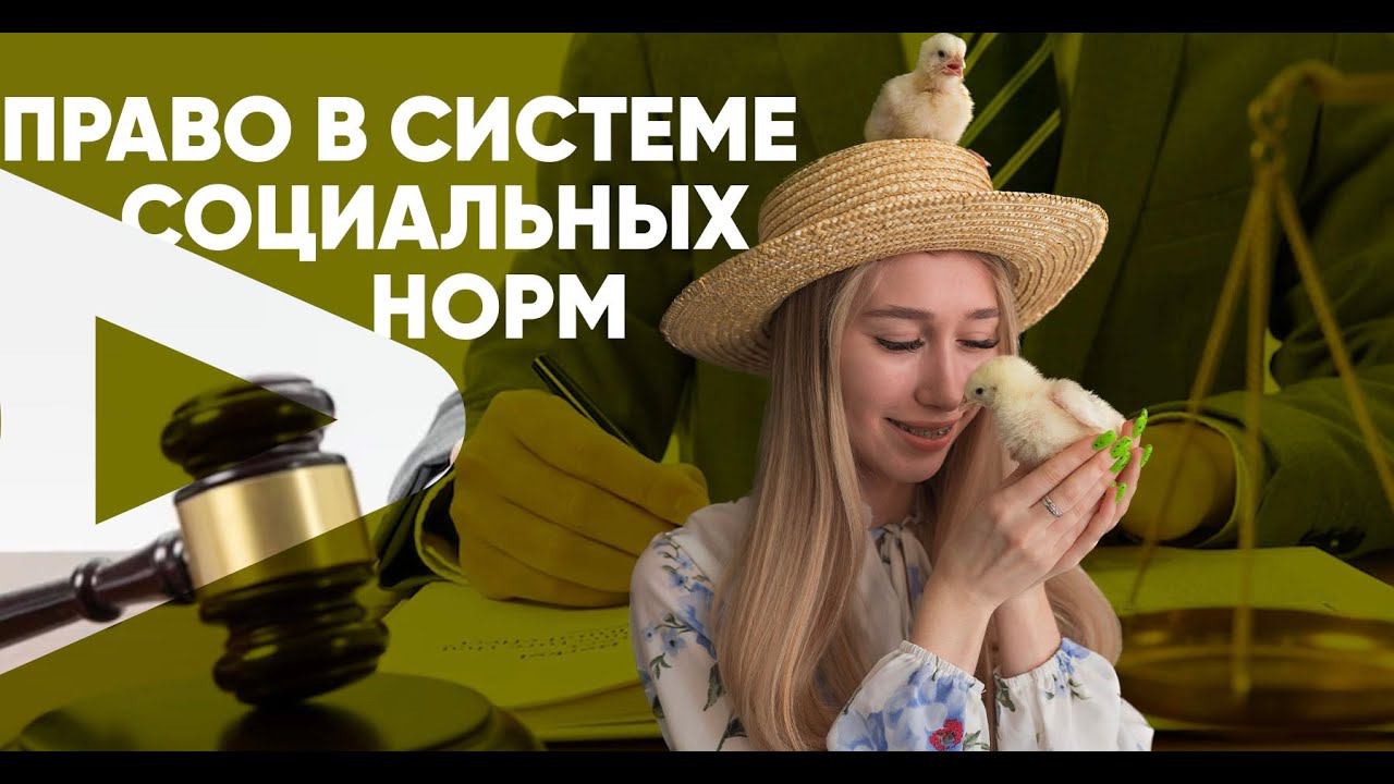 Право в системе социальных норм смотреть онлайн
