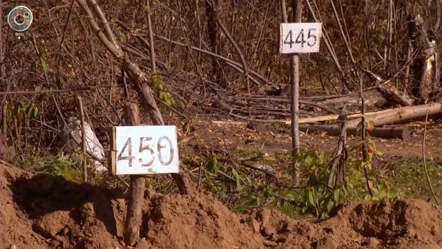 Новосибирские археологи рассказали об итогах минувшего полевого сезона смотреть онлайн