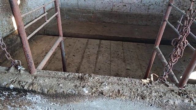 Размеры жилого помещения для КРС. смотреть онлайн