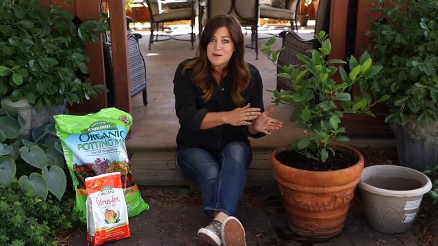 Growing Citrus Trees in Containers! 🍋🌿// Garden Answer смотреть онлайн