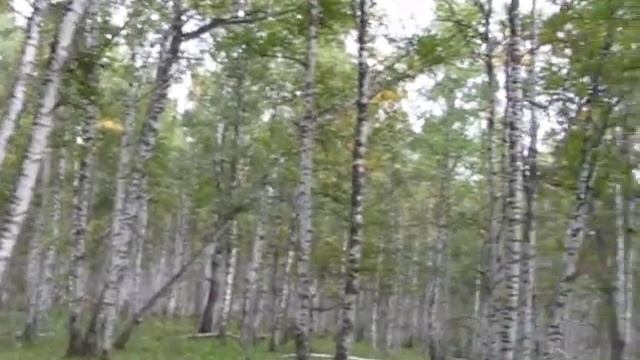 УЧАЛИНСКИЕ ПИРАМИДЫ БАШКОРТОСТАНА.wmv смотреть онлайн