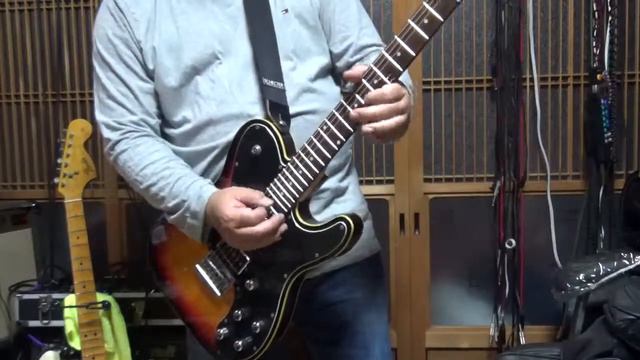 Schecter Diamond Series смотреть онлайн