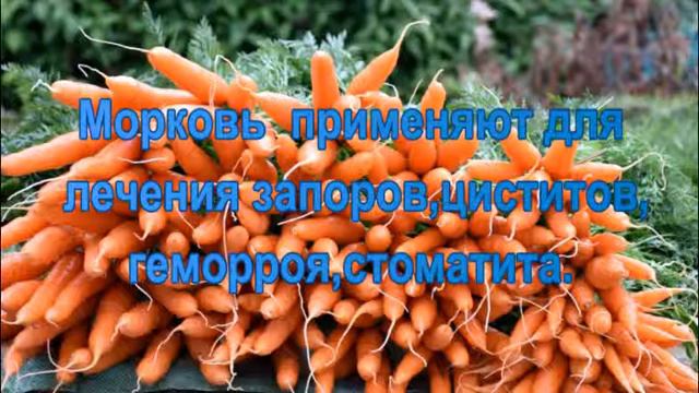 О моркови. Интересно знать. смотреть онлайн