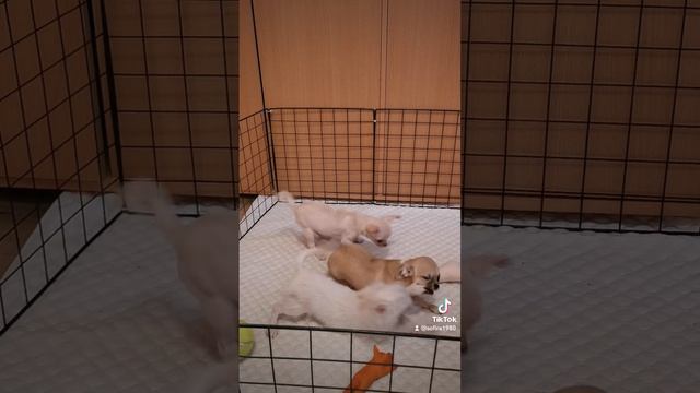 2022-07-03-210606322.mp4 смотреть онлайн