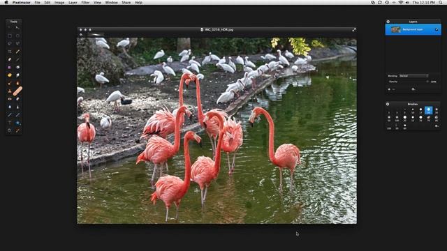 Pixelmator VS Photoshop: Healing Tools | смотреть онлайн