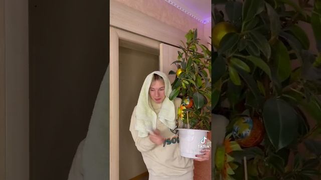 Паул либо просто паша смотреть онлайн