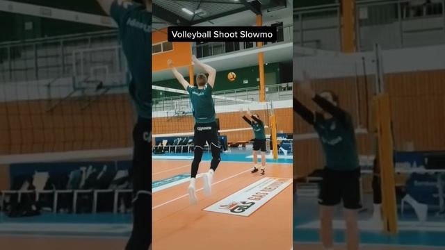 Volleyball Shoot Attack ?? #shorts #volleyball смотреть онлайн