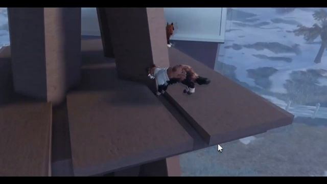 Как забираться на мельницу в Котах Воителях в Роблокс ? смотреть онлайн