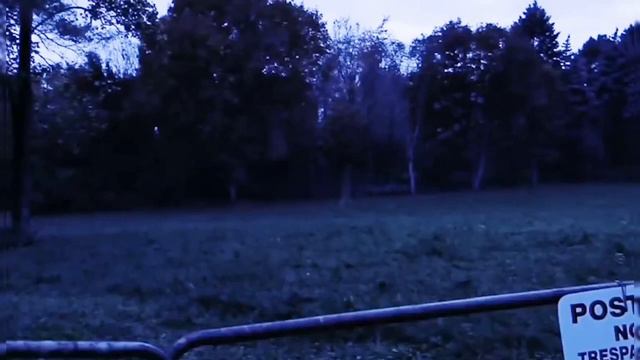 Видео было выложено на ютуб в канал, где автор утверждает, что нашел мес смотреть онлайн