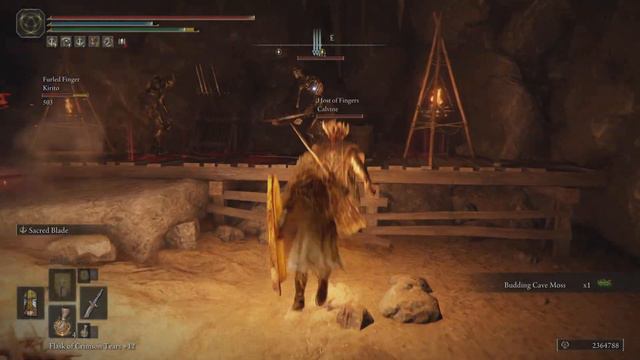 Sage's Cave Co-Op - ELDEN RING смотреть онлайн