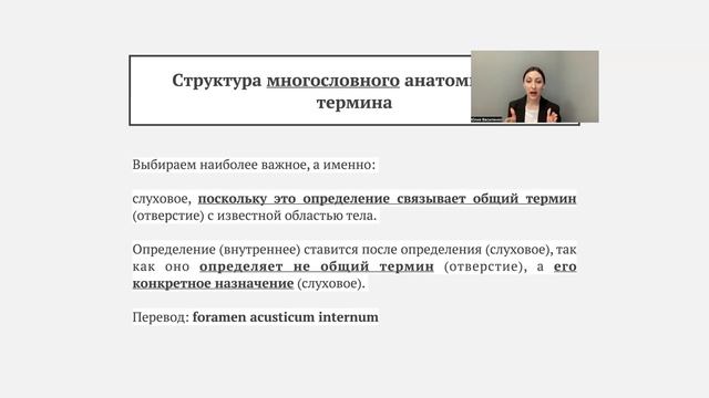 Структура многословного анатомического термина смотреть онлайн