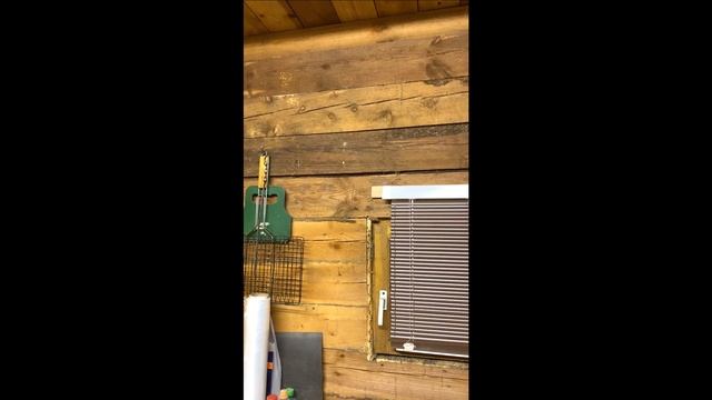 Хранение тримера.