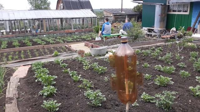 Садово-огородные радости ????? смотреть онлайн