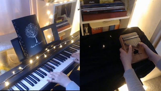 Hot Head Bop - Donkey Kong Country 2 (Piano/Kalimba Cover)